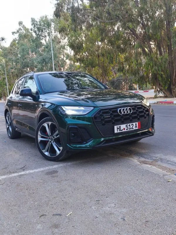 Audi Q5 S-line