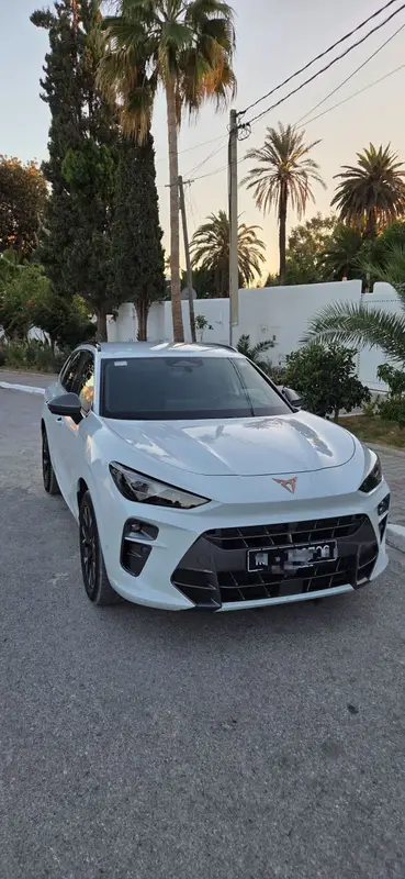 Cupra Terramar Sport