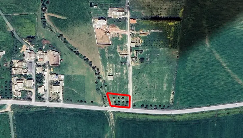 1500m avec oliviers sur la route hmayem négociable