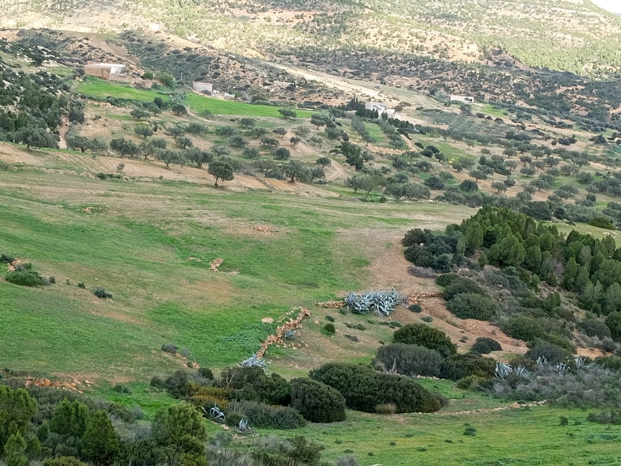 Terrain